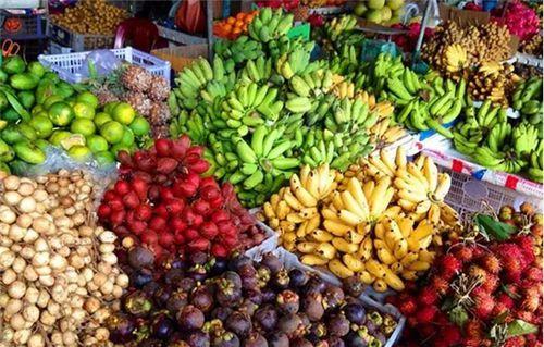 柬中合资800万美元在西哈努克港建设水果加工厂|芒果|农产品|香蕉